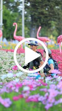 BIB:  <button type="button" onclick="openModal(27583184)" class="btn btn-primary btn-sm float-right" data-toggle="modal" data-target=".modal-high-quality">
                <i class="fa fa-download"></i> Download
                </button>